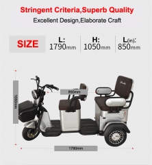 Electric Tricycle 3 Wheel Electric Leisure Scooter Battery Tricycle MODEL 5.0 25km/h ABS electronic brakes