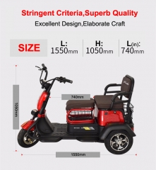 Electric Tricycle 3 Wheel Electric Leisure Scooter Battery Tricycle MODEL 2.0 25km/h ABS electronic brakes