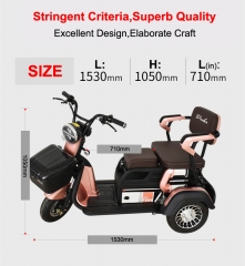 Electric Tricycle 3 Wheel Electric Leisure Scooter Battery Tricycle MODEL 3.0 25km/h ABS electronic brakes