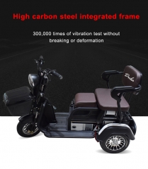 Electric Tricycle 3 Wheel Electric Leisure Scooter Battery Tricycle MODEL 3.0 25km/h ABS electronic brakes