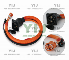 EV Charging Type 1 DC Charging Plug 16A 32A 60A DC Charging Socket 3.3KW 6.6KW 2000V AC 1min Type 2 Combo DC Connector 1 IEC 62196-3