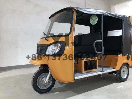 Tuk Tuk 200CC Water Cooled Engine Tricycle Three Wheele Cnyij