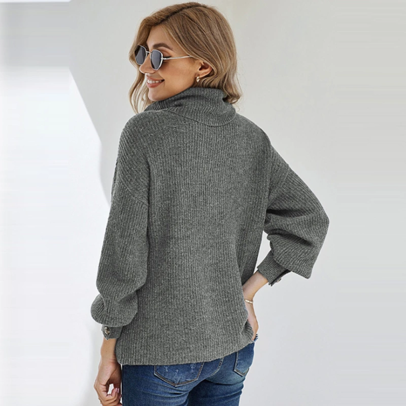 Nevenka Turtleneck Sweater Pure Color Warm Loose Pullover Knitted Sweater in Autumn and Winter