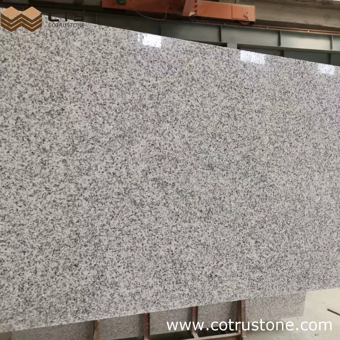 Encimera de granito blanco plata China