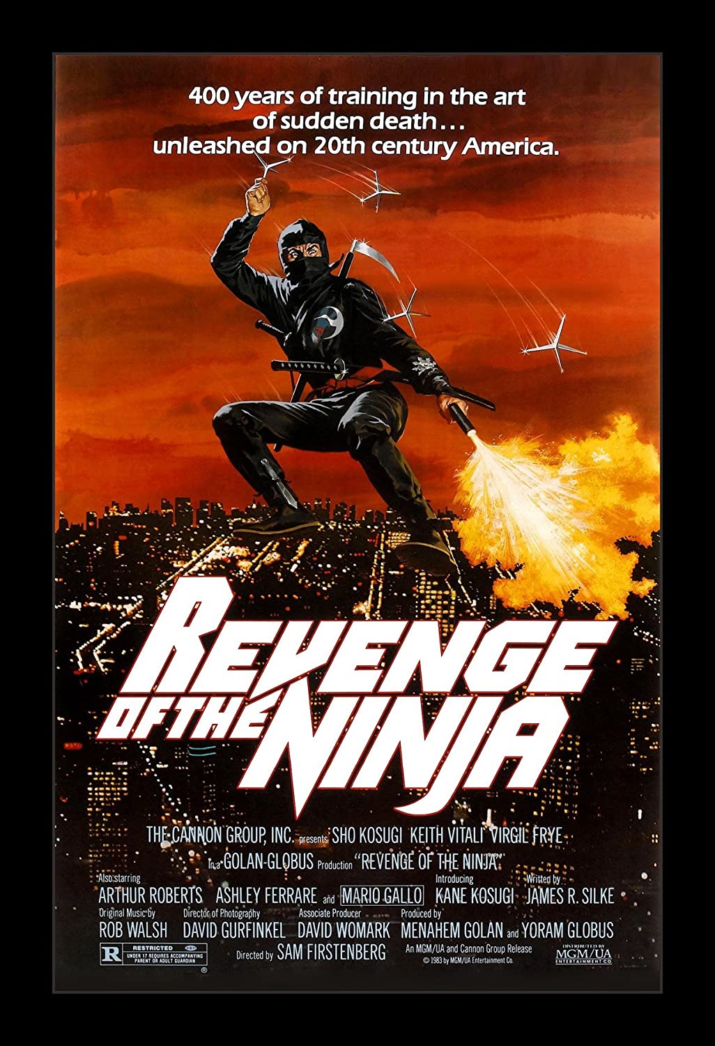 My Favorite Ninja Movies - Ninja trilogy