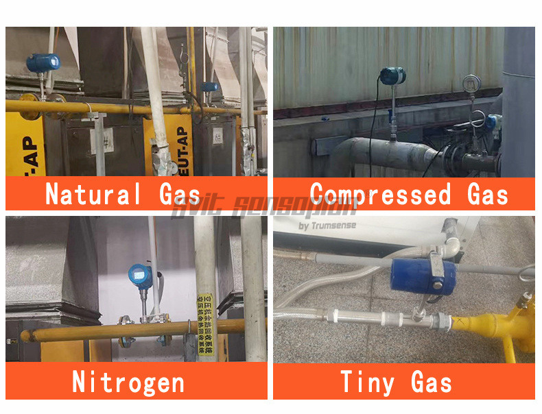 Trumsense DN50 SS304 Thermal Gas Mass Flow Meter STTTMFMDN50 DC 24V Power 4 to 20mA and RS485 Modbus Output