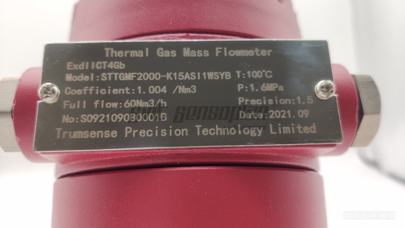 Trumsense DN150 SS304 STTTMFMDN150 Thermal Mass Flow Meter DC 24V Power 4 to 20mA and RS485 Modbus Output for Natural Gas Temperature Display