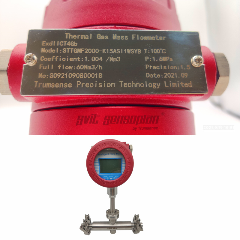 Trumsense DN150 SS304 STTTMFMDN150 Thermal Mass Flow Meter DC 24V Power 4 to 20mA and RS485 Modbus Output for Natural Gas Temperature Display