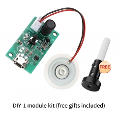 DIY-1 Kit