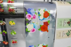 Focus UV Single Pass Label Printer-  S350 Jetpress