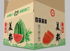 Focus inc. Cobra-1815s Corrugated Cardboard Carton Packaging Printer