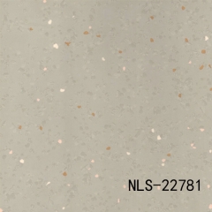 NLS 22041