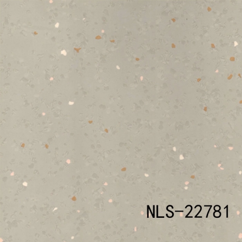 NLS 22041