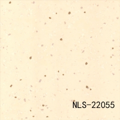 NLS 22041