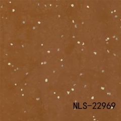 NLS 22041