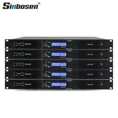 D2-4200 DSP Digital 2 channel Amplifier for Subwoofer