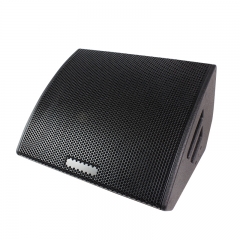 High Performance 15 Inch 2 Way Stage Monitor Speaker