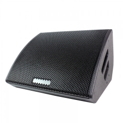 High Performance 15 Inch 2 Way Stage Monitor Speaker