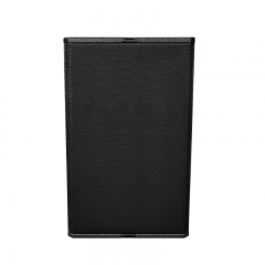 TN-24 High-fidelity 12 inch full range innovative loudspeaker