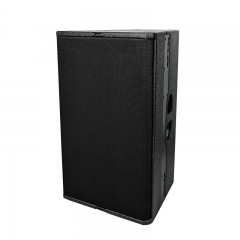 TN-24 High-fidelity 12 inch full range innovative loudspeaker