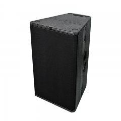 TN-24 High-fidelity 12 inch full range innovative loudspeaker