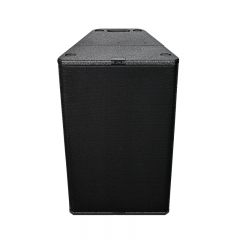 TN-24 High-fidelity 12 inch full range innovative loudspeaker