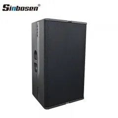 TN-24 High-fidelity 12 inch full range innovative loudspeaker