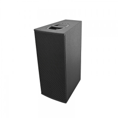Dual 10 inch 3-way Point Source Loudspeaker with Rotatable Horn