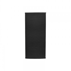 Dual 10 inch 3-way Point Source Loudspeaker with Rotatable Horn