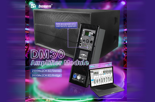 Freely Pair DM Series Active Module with Any Sinbosen Speaker