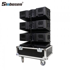 YT-08 Alto-falante duplo de matriz linear de neodímio de 8 polegadas e 2 vias