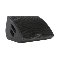 High Performance 15 Inch 2 Way Coaxial Stage Monitor Speaker