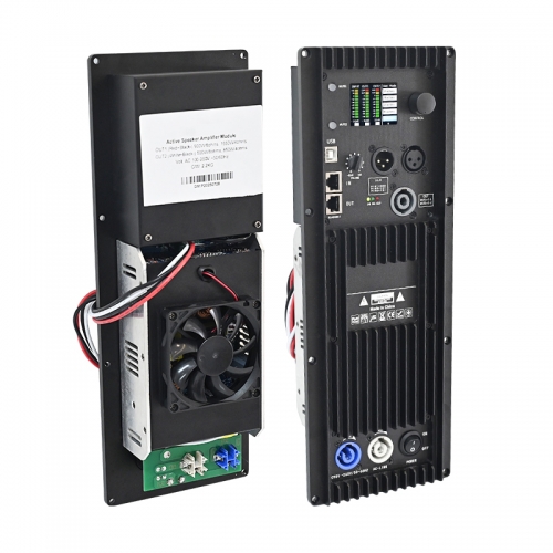 DM10 900W+900W plattenbetriebenes DSP-FIR-Phasenverstärkermodul