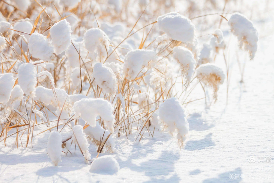 大雪