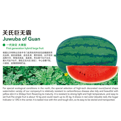 Juwuba of Guan