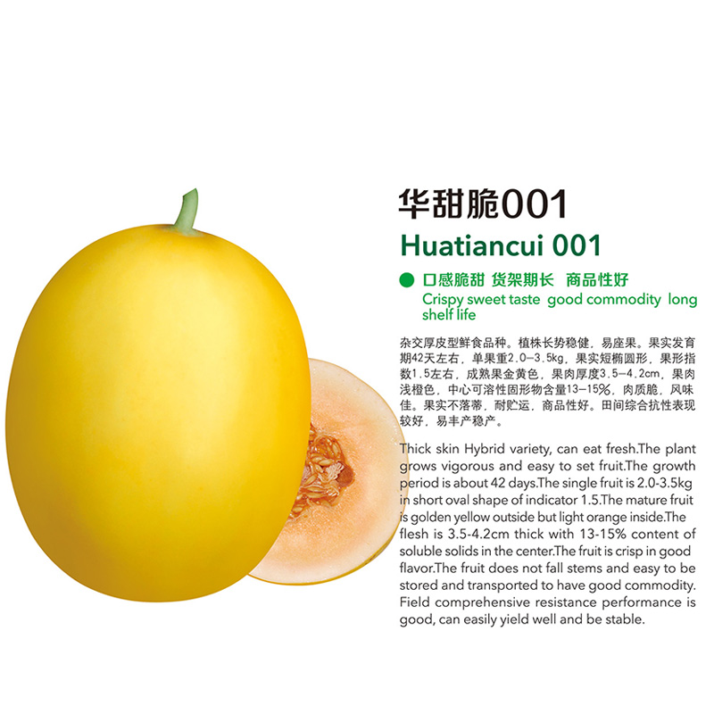 Golden and Smooth Skin with Orange Red Flesh Thick Melon Seeds