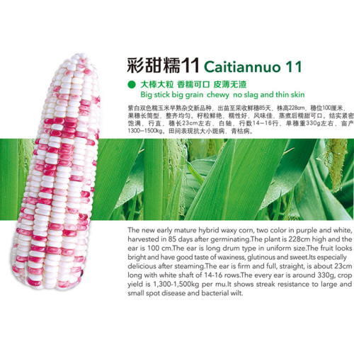 Caitiannuo 11