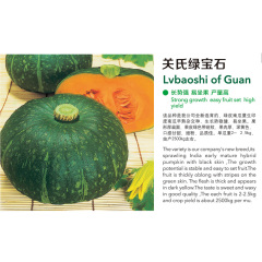 Lvbaoshi of Guan
