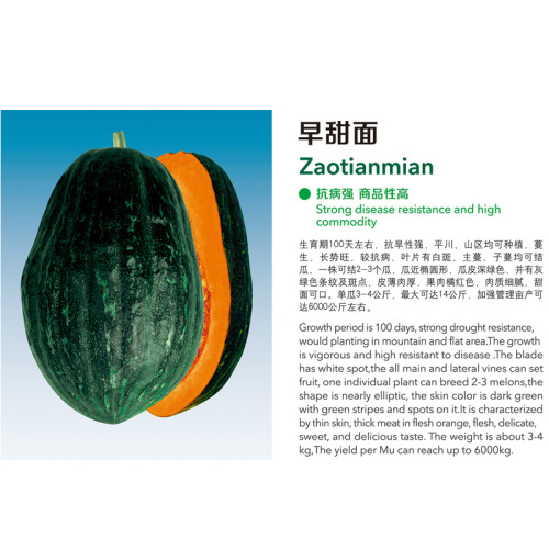 Zaotianmian