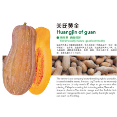 Huangjin of Guan