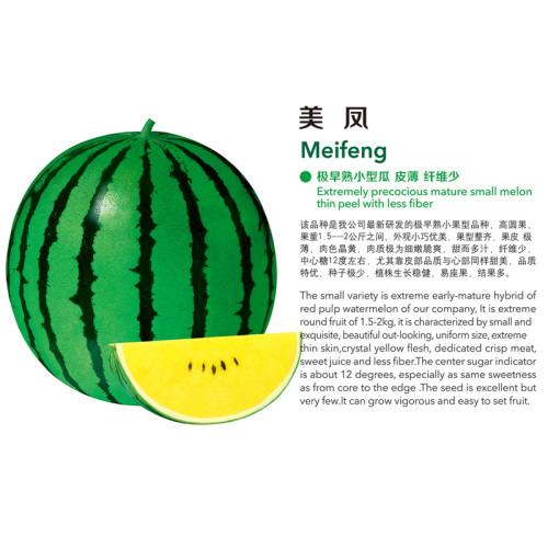 Meifeng