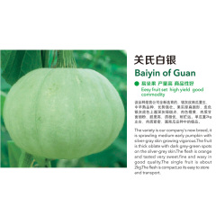 Baiyin of Guan
