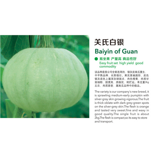 Baiyin of Guan