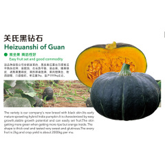 Heizuanshi of Guan