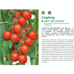 Linglong