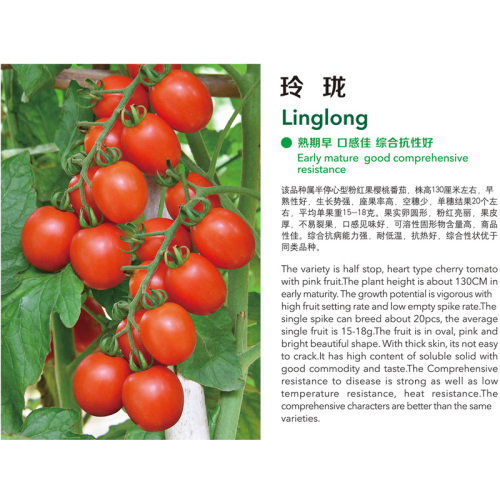 Linglong
