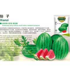 Xianzi