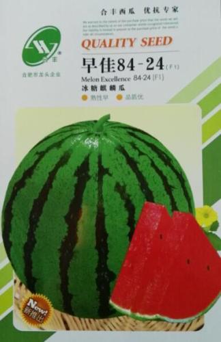 Zaojia84-24 rock sugar unicorn melon