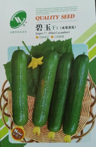 Jasper F1 Fruit Cucumber