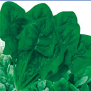 Korean Super Spinach